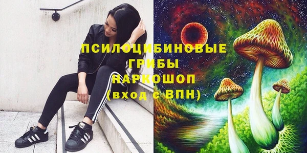 молекула духа Белоозёрский
