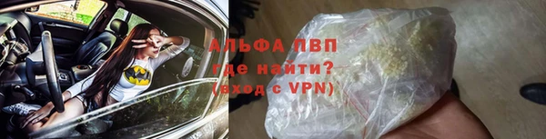 молекула духа Белоозёрский