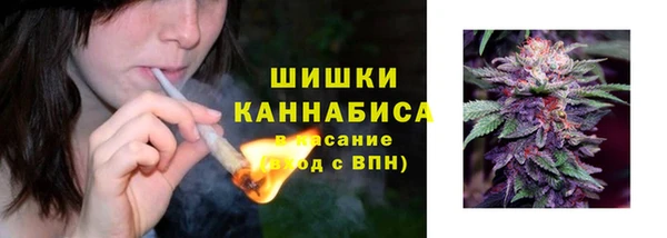 молекула духа Белоозёрский