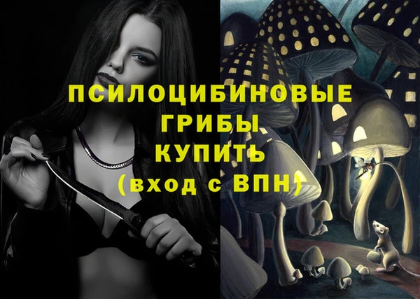 прущие грибы Протвино