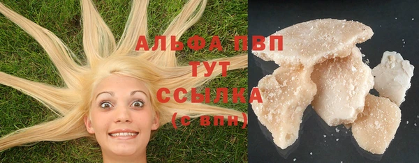 молекула духа Белоозёрский