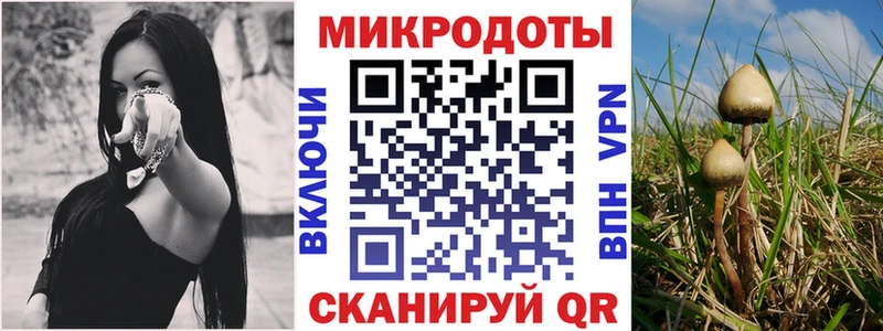мега ссылка  Киреевск  Псилоцибиновые грибы мицелий 